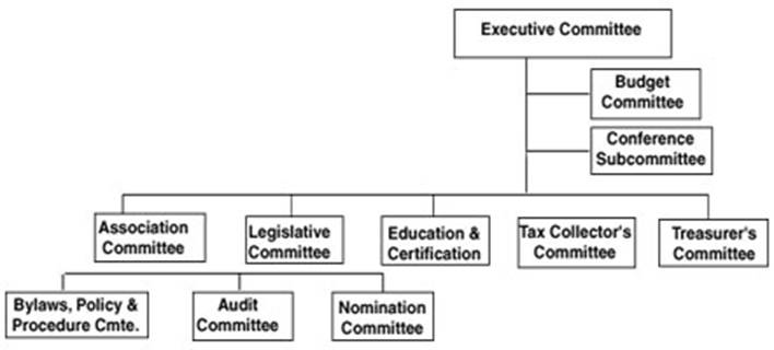 Executive Committees
